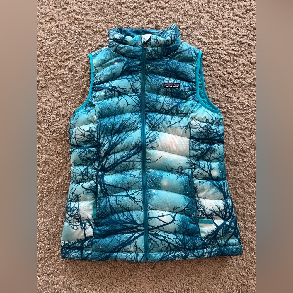 Down Patagonia Vest